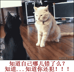 男人婚后的生活日常搞笑GIF(2)