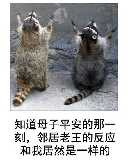 微博恶搞日式冷吐槽第五十二弹(10)