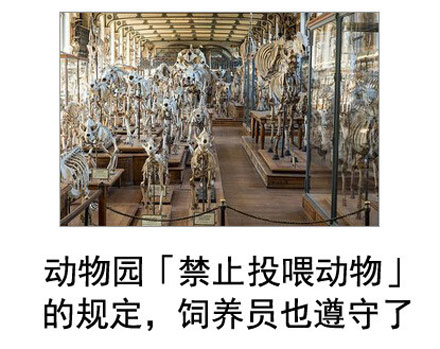 微博恶搞日式冷吐槽第五十三弹(11)