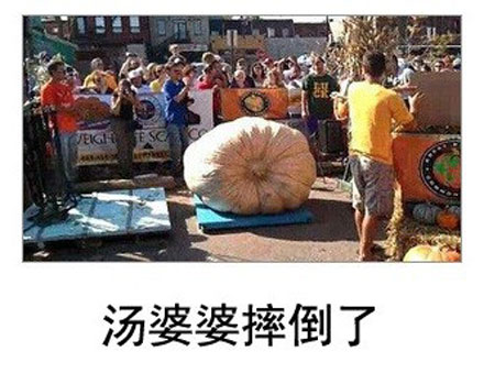 微博恶搞日式冷吐槽第五十二弹(9)