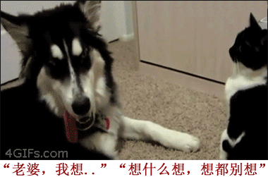 男人婚后的生活日常搞笑GIF(6)