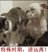 男人婚后的生活日常搞笑GIF(9)