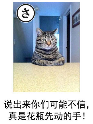 微博恶搞日式冷吐槽第五十五弹(7)