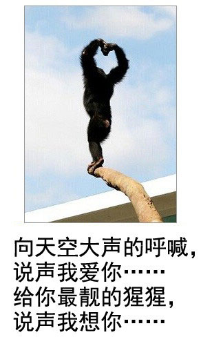 微博恶搞日式冷吐槽第五十五弹(2)