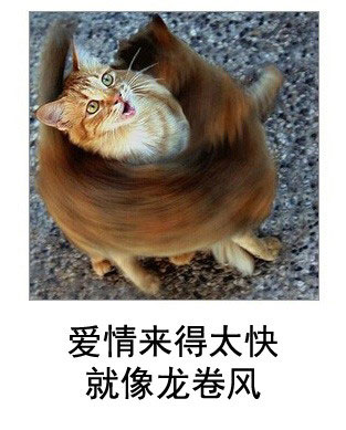 微博恶搞日式冷吐槽第五十五弹(8)