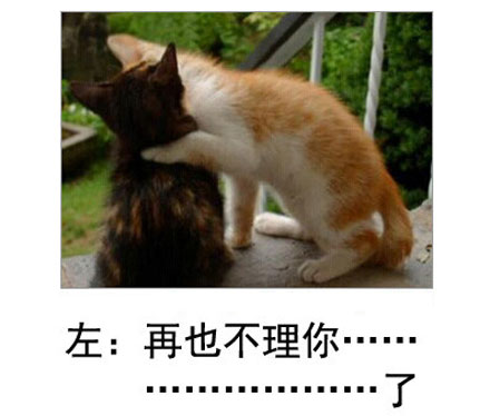 微博恶搞日式冷吐槽第五十四弹(11)