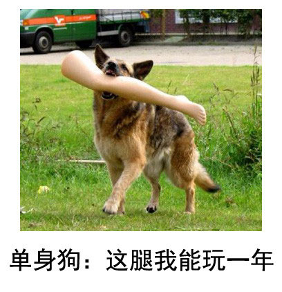 微博恶搞日式冷吐槽第五十五弹(3)