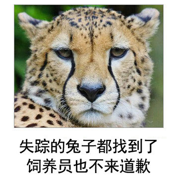 微博恶搞日式冷吐槽第五十六弹(14)