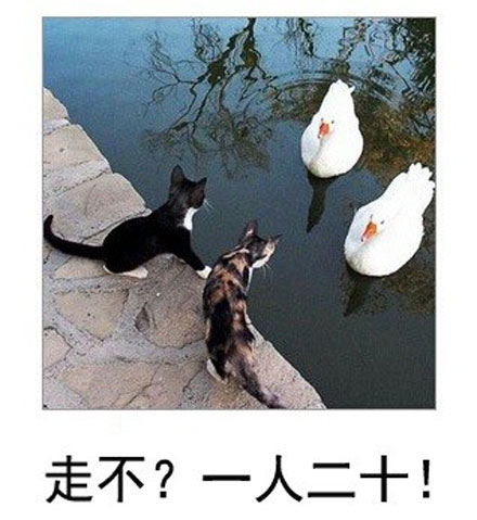 微博恶搞日式冷吐槽第五十六弹(6)