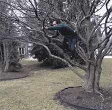 不作死就不会死GIF图系列22(6)