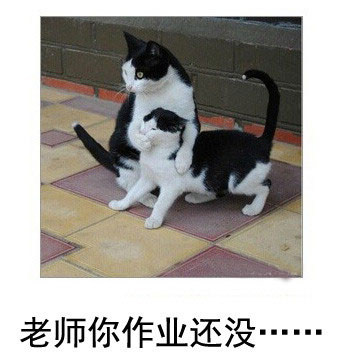 微博恶搞日式冷吐槽第五十八弹(6)