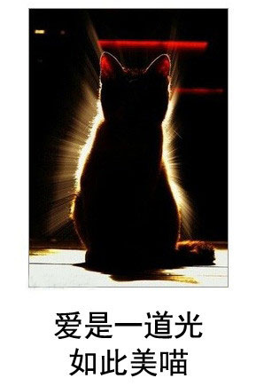 微博恶搞日式冷吐槽第五十八弹(2)