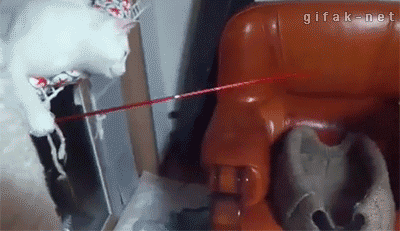 深井冰的喵星人搞笑GIF(3)