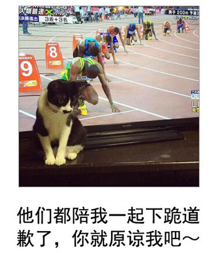 微博恶搞日式冷吐槽第五十九弹(2)