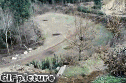 不作死就不会死GIF图系列22(9)