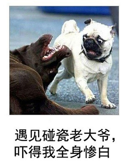 微博恶搞日式冷吐槽第六十弹(11)