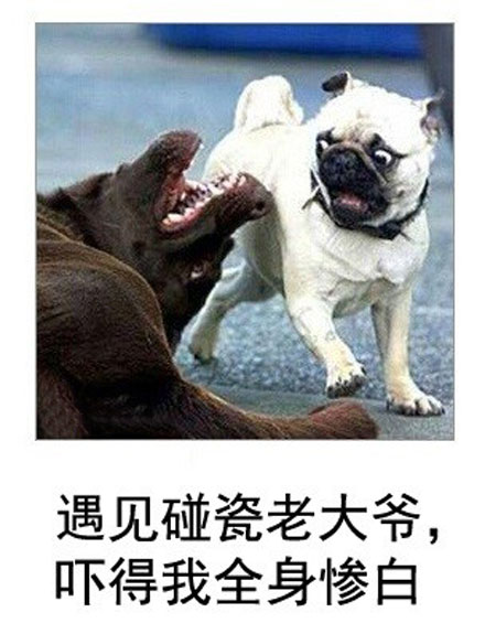 微博恶搞日式冷吐槽第六十一弹(11)