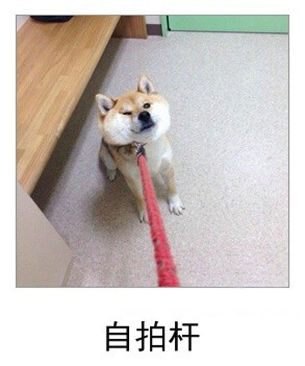 微博恶搞日式冷吐槽第六十弹(10)