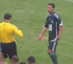 足球场上球员们的搞笑GIF(5)