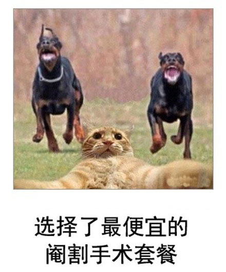 微博恶搞日式冷吐槽第六十一弹(10)