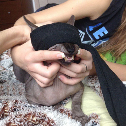 《虚荣》国外玩家恶搞COS图赏(9)