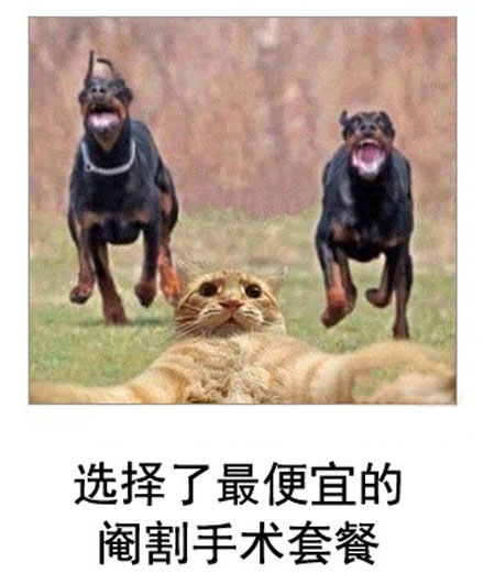 微博恶搞日式冷吐槽第六十二弹(9)