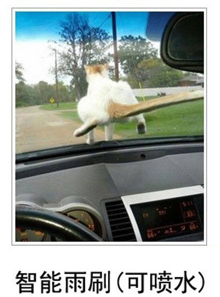 微博恶搞日式冷吐槽第六十二弹(4)