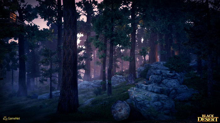 《黑色沙漠》游戏官方截图(18)