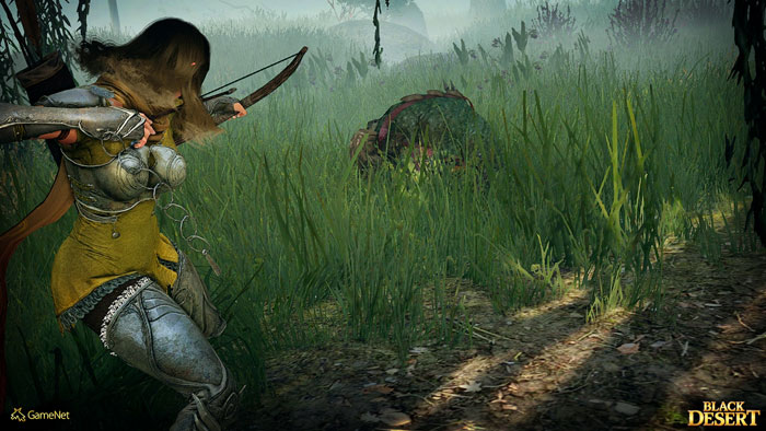 《黑色沙漠》游戏官方截图(3)