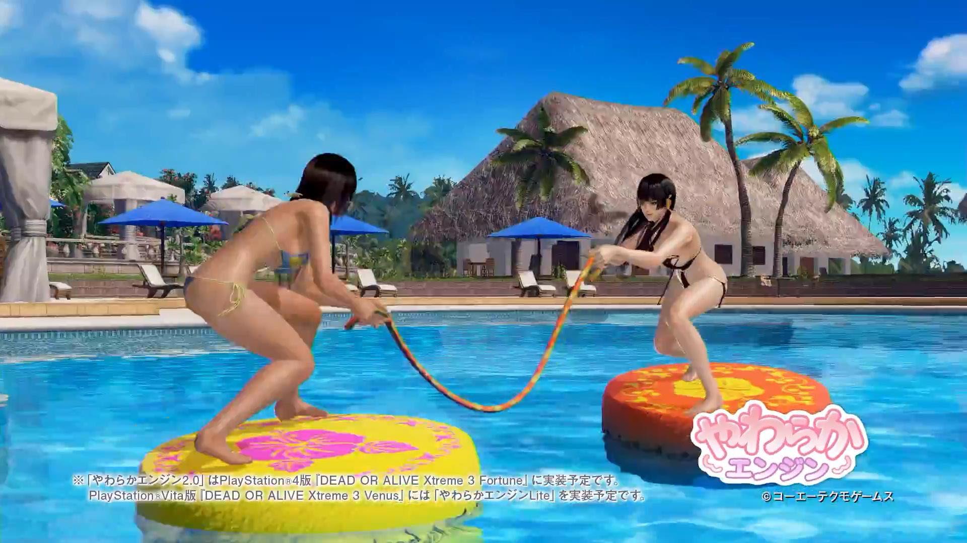 《死或生：沙滩排球3》福利宣传片壁纸(5)