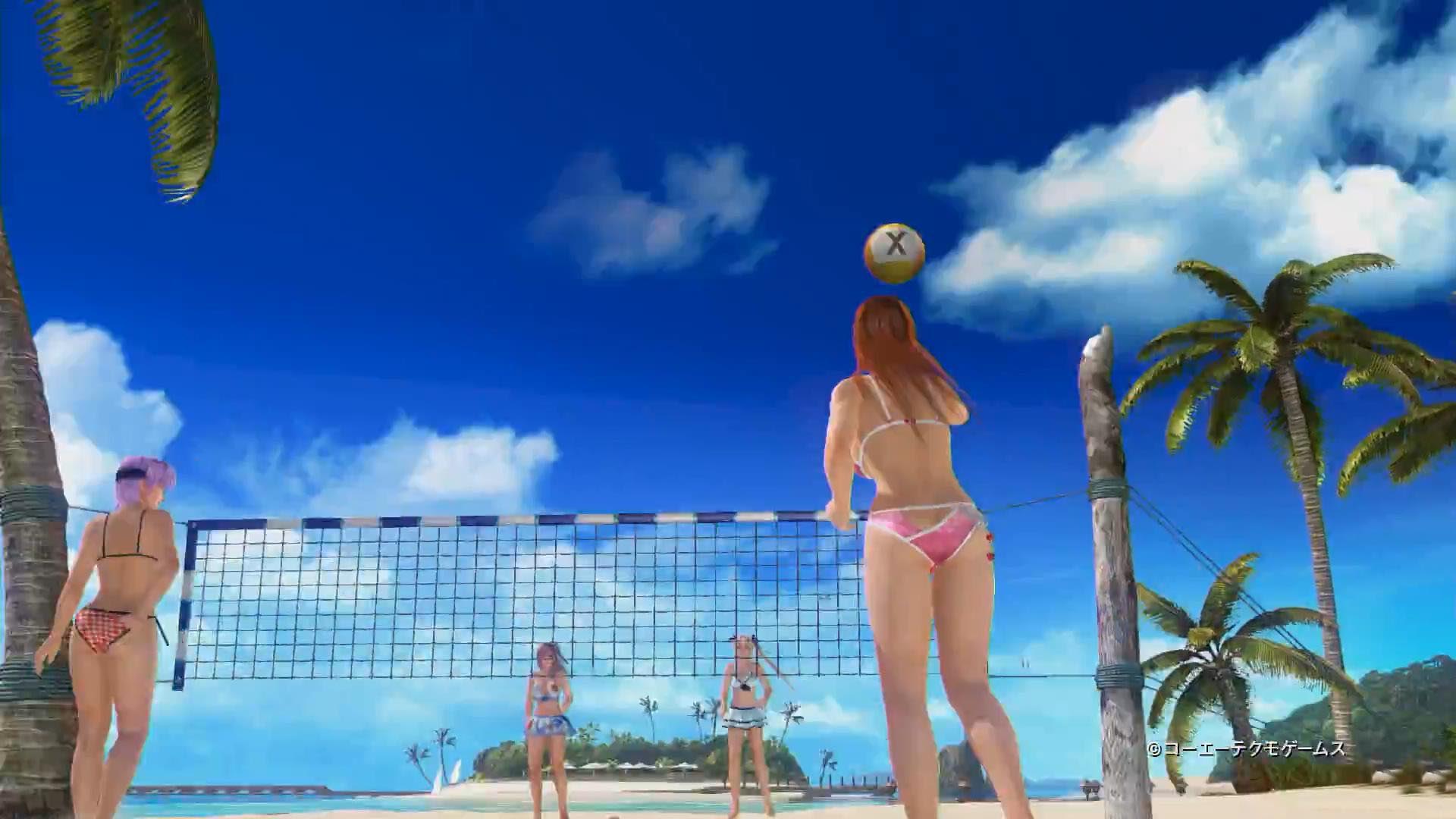 《死或生：沙滩排球3》福利宣传片壁纸(15)