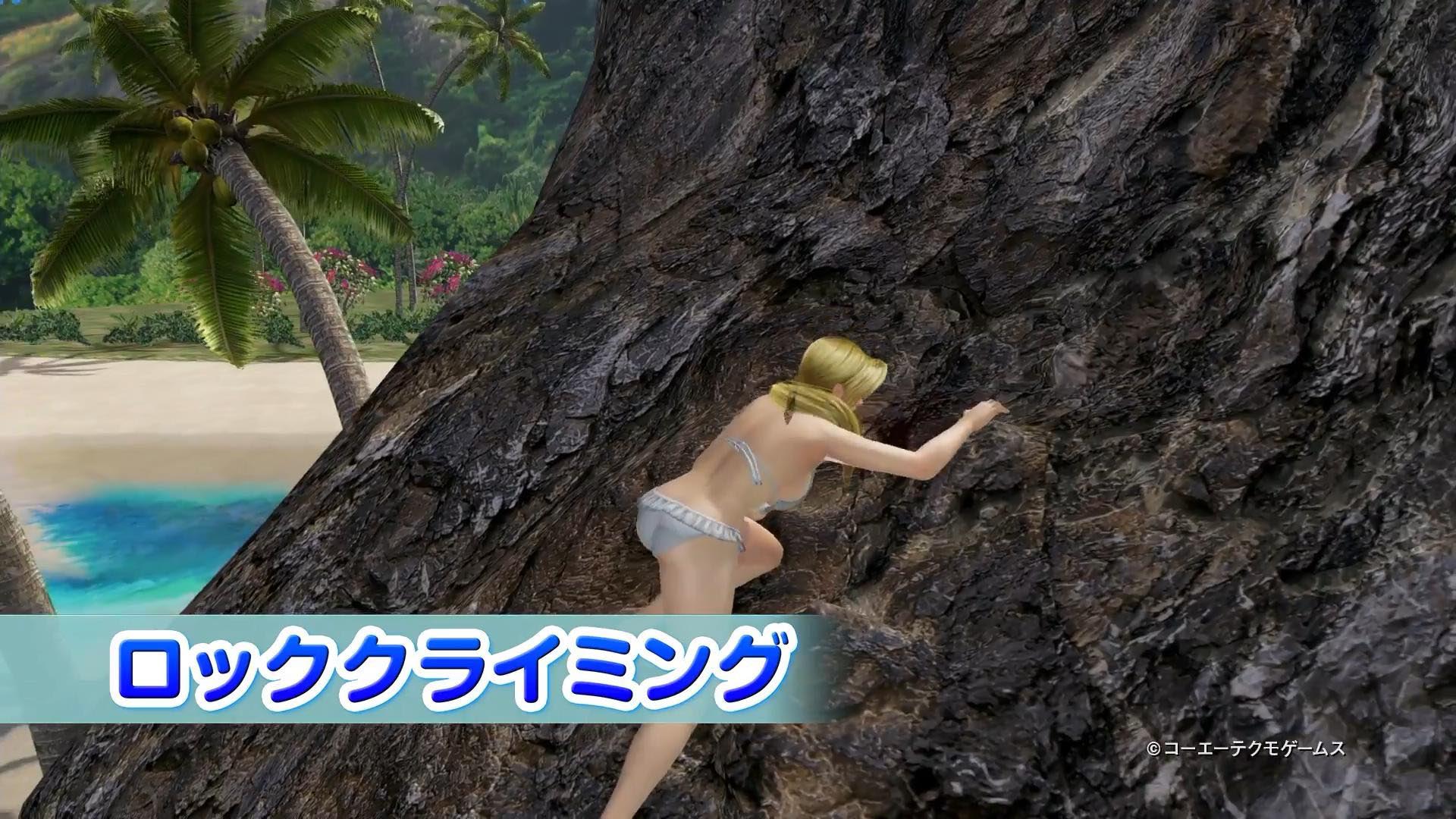 《死或生：沙滩排球3》福利宣传片壁纸(16)