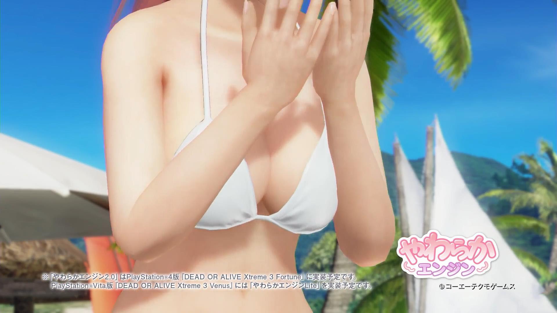 《死或生：沙滩排球3》福利宣传片壁纸(18)