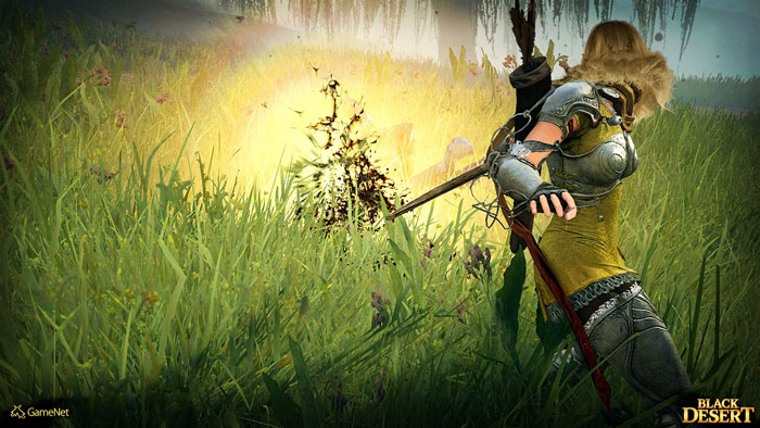 《黑色沙漠》游戏官方截图(2)