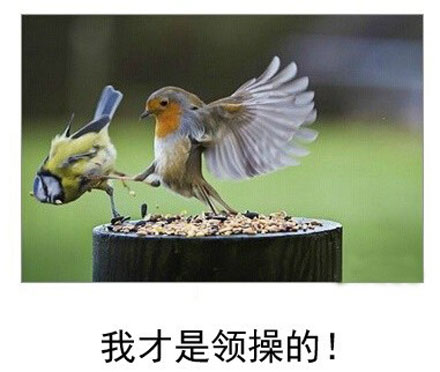 微博恶搞日式冷吐槽第六十四弹(7)