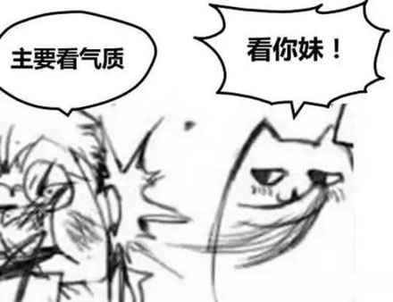 主要看气质表情包搞笑图片(16)