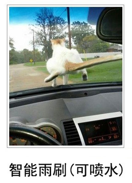 微博恶搞日式冷吐槽第六十三弹(14)