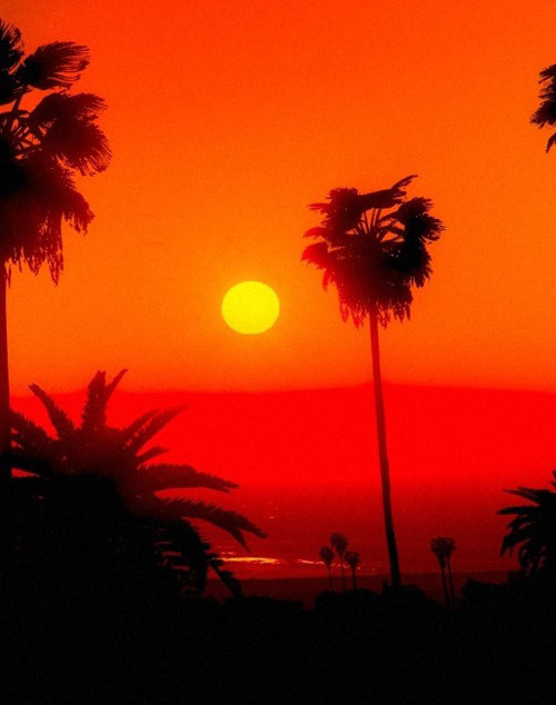 《GTA5》游戏精美截图(23)