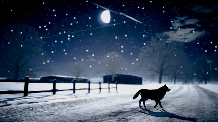 《GTA5》游戏精美截图(7)