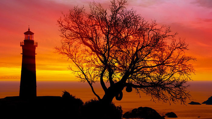 《GTA5》游戏精美截图(13)