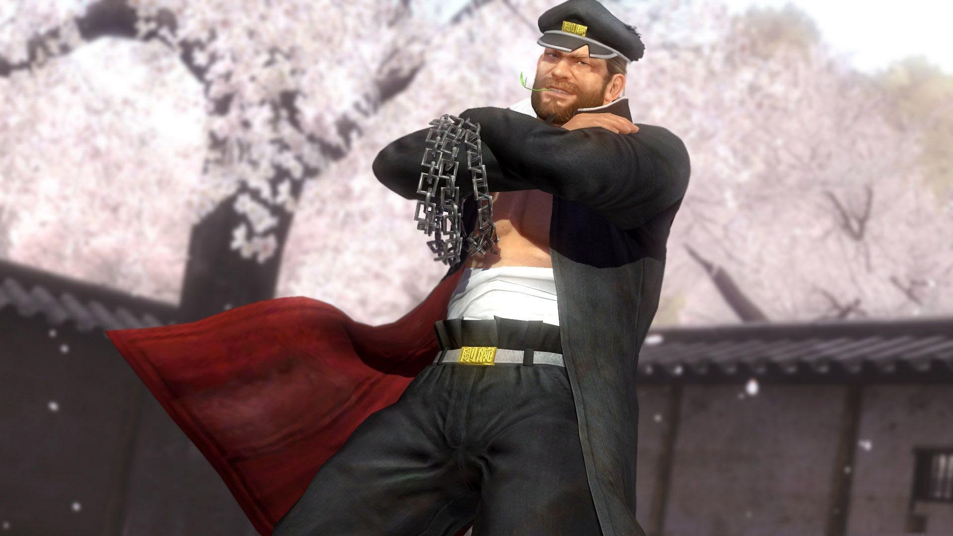 《死或生5：最后一战》第三季DLC壁纸(9)