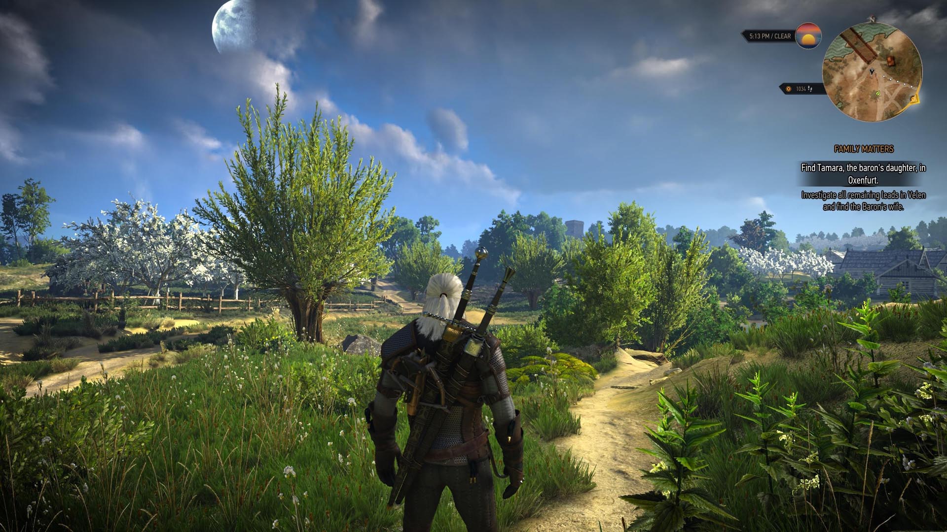 《巫师3：狂猎》MOD精美截图(9)