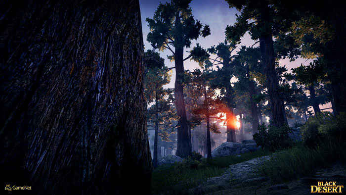 《黑色沙漠》游戏官方截图(13)