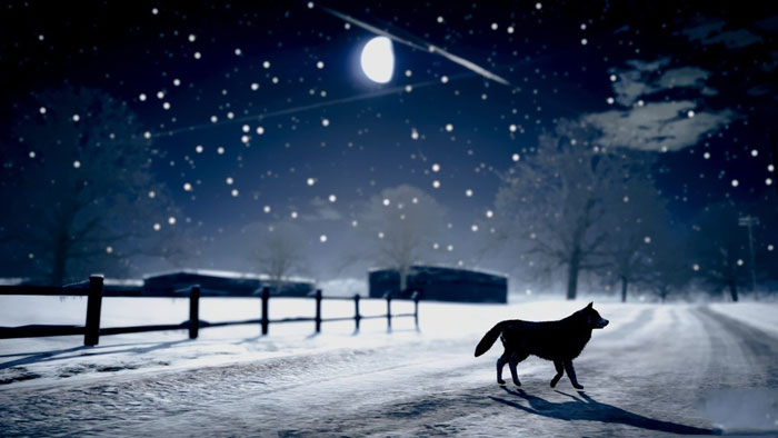 《GTA5》玩家最新摄影截图(16)