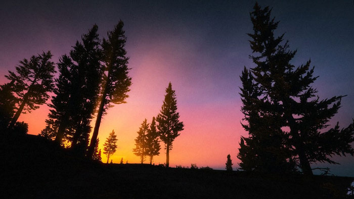 《GTA5》玩家最新摄影截图(13)