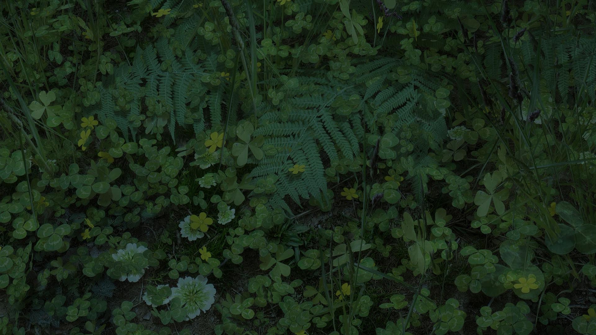 《上古卷轴5：天际》最新Mod截图(7)