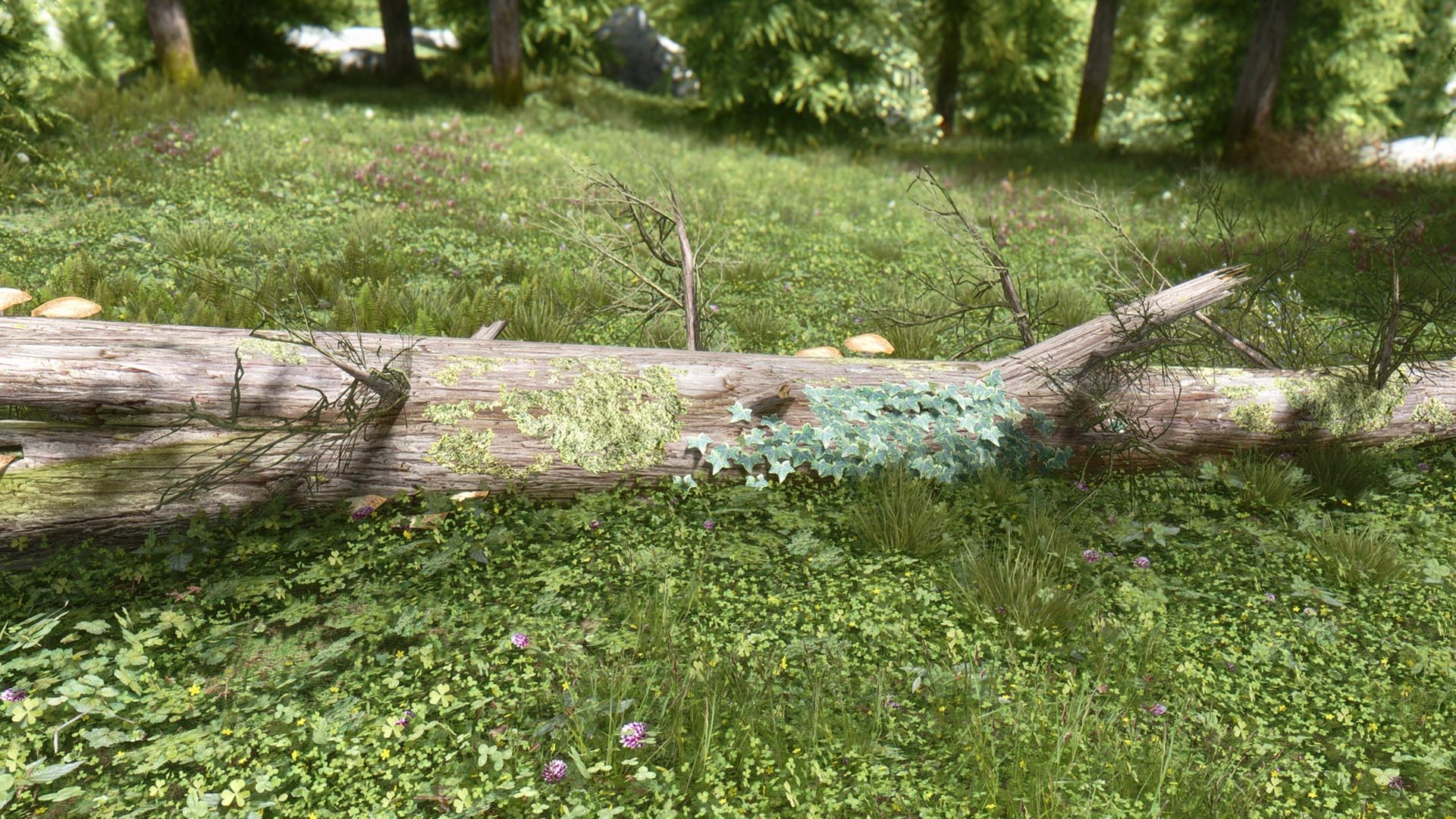 《上古卷轴5：天际》最新Mod截图(10)