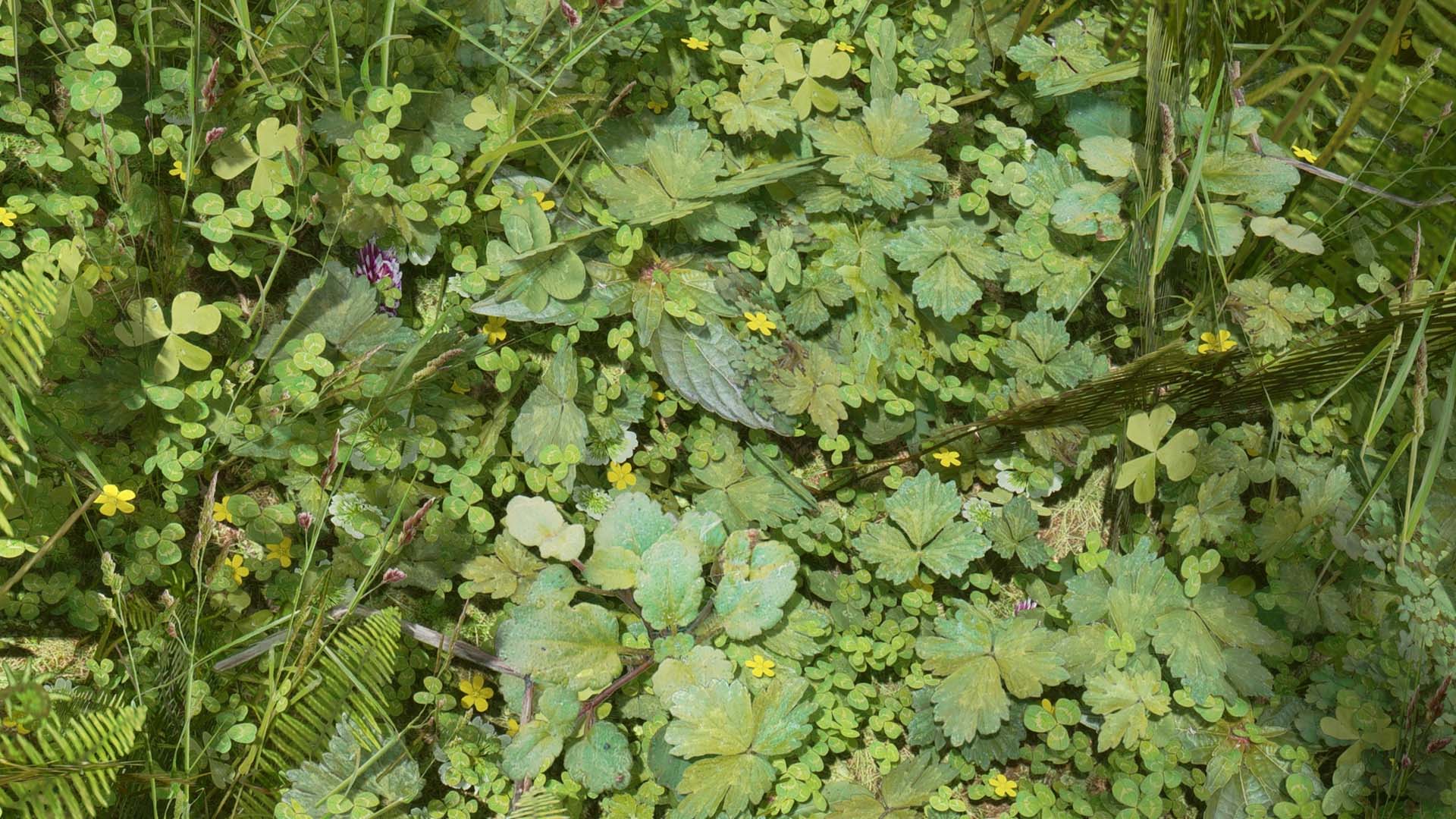 《上古卷轴5：天际》最新Mod截图(3)