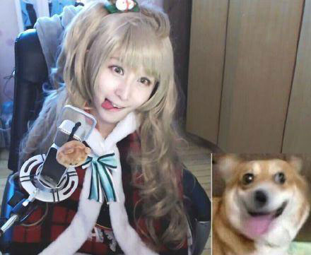 可爱美女主播cos热门表情包(9)