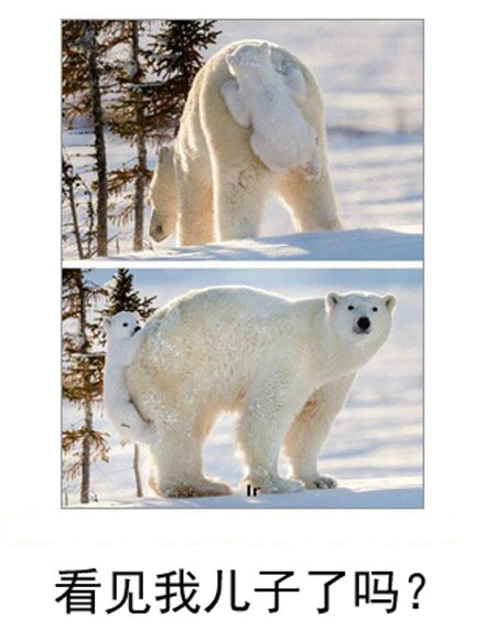 微博恶搞日式冷吐槽第六十五弹(11)